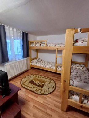 Cabana FARA NUME